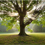 Meta Slider – HTML Overlay – slide-1