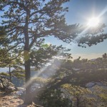 1502545_1441756219447596_4391809803365423990_n