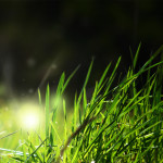 8807756304_e82d6e553e_o