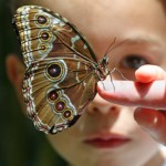 relationship-with-nature