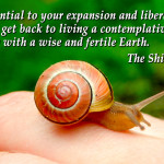 meme-contemplative-life